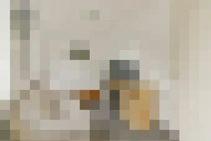 Geert Grootelaan 20 Vlaardingen thumbnail 17