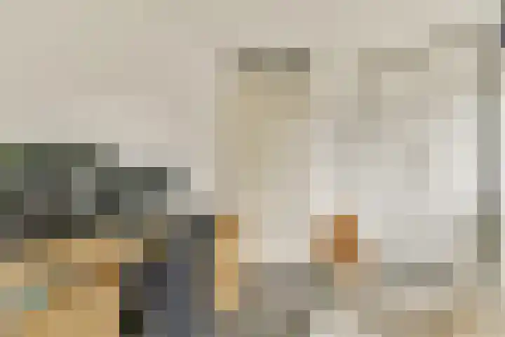 Geert Grootelaan 20 Vlaardingen thumbnail 18