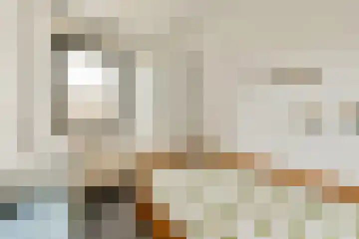Geert Grootelaan 20 Vlaardingen thumbnail 19