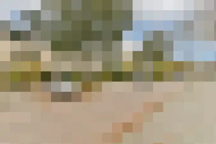 Geert Grootelaan 20 Vlaardingen thumbnail 4
