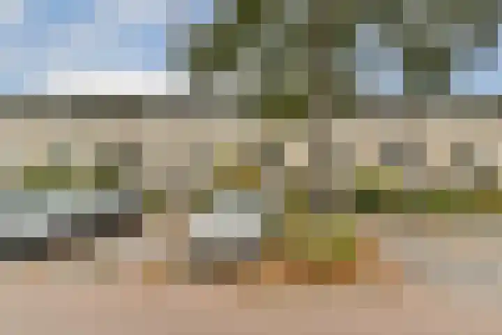 Geert Grootelaan 20 Vlaardingen thumbnail 5