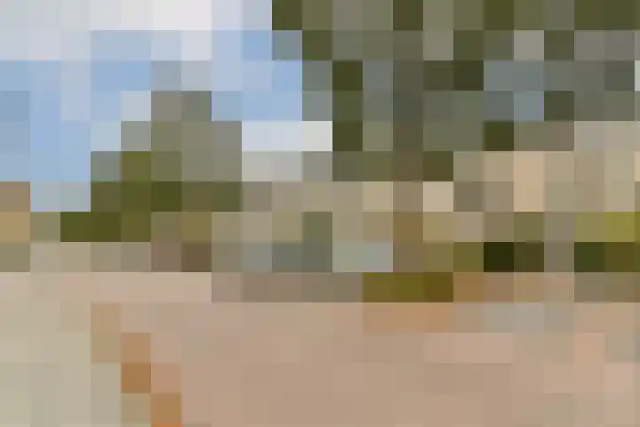 Geert Grootelaan 20 Vlaardingen thumbnail 6