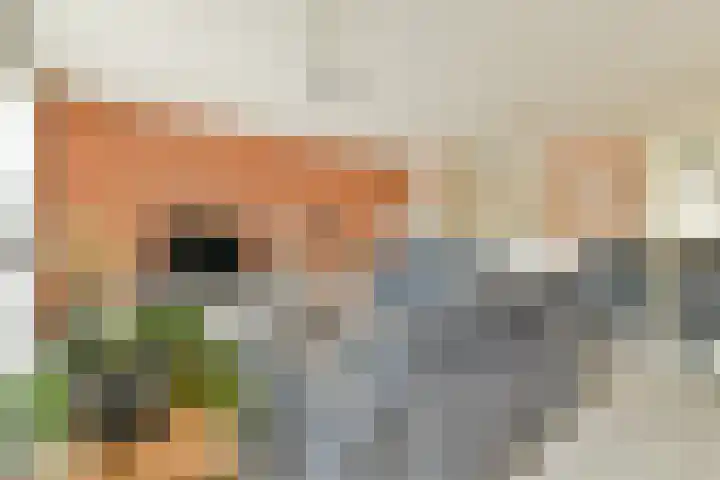 Geert Grootelaan 20 Vlaardingen thumbnail 7