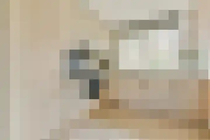 Geert Grootelaan 20 Vlaardingen thumbnail 9