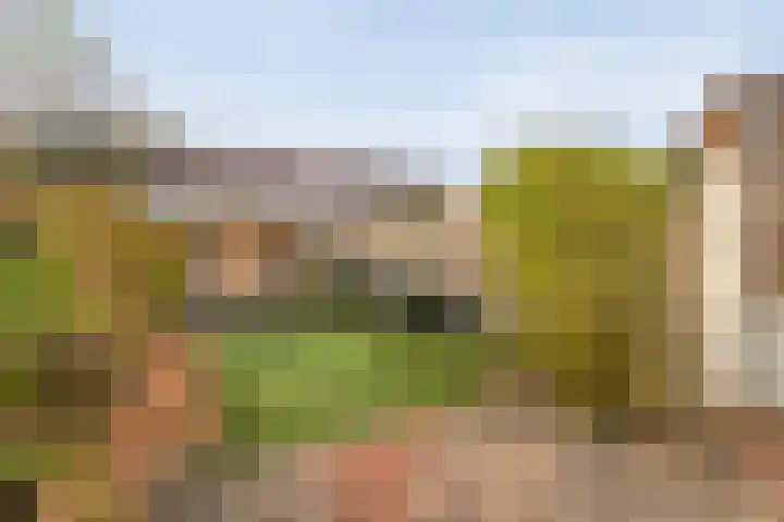 Geert Grootelaan 25 Almelo thumbnail 23