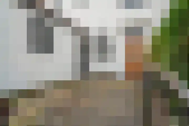 Geert Grootelaan 25 Almelo thumbnail 26