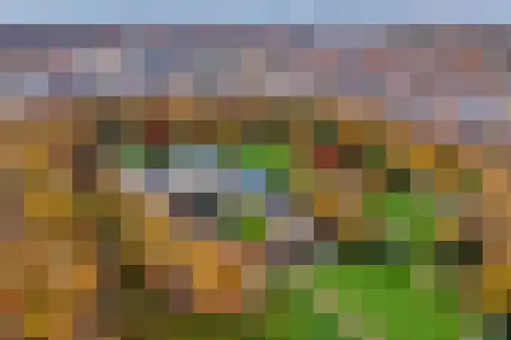 Geert Grootelaan 25 Almelo thumbnail 29