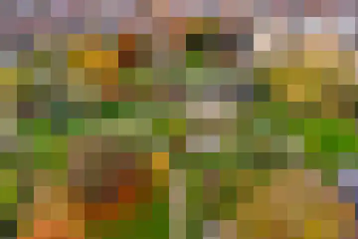 Geert Grootelaan 25 Almelo thumbnail 30