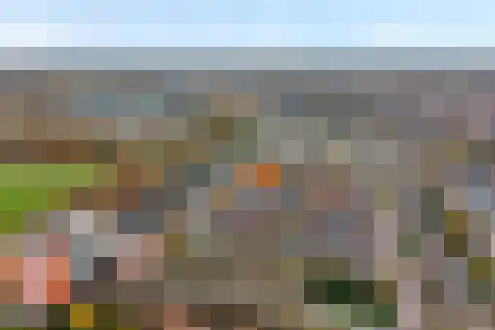 Geert Grootelaan 25 Almelo thumbnail 31