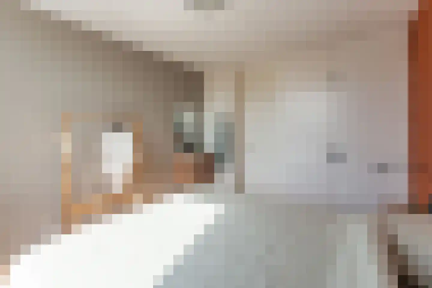 Geert Grootelaan 3 Hilversum thumbnail 15