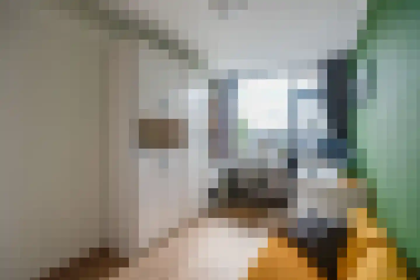 Geert Grootelaan 3 Hilversum thumbnail 17
