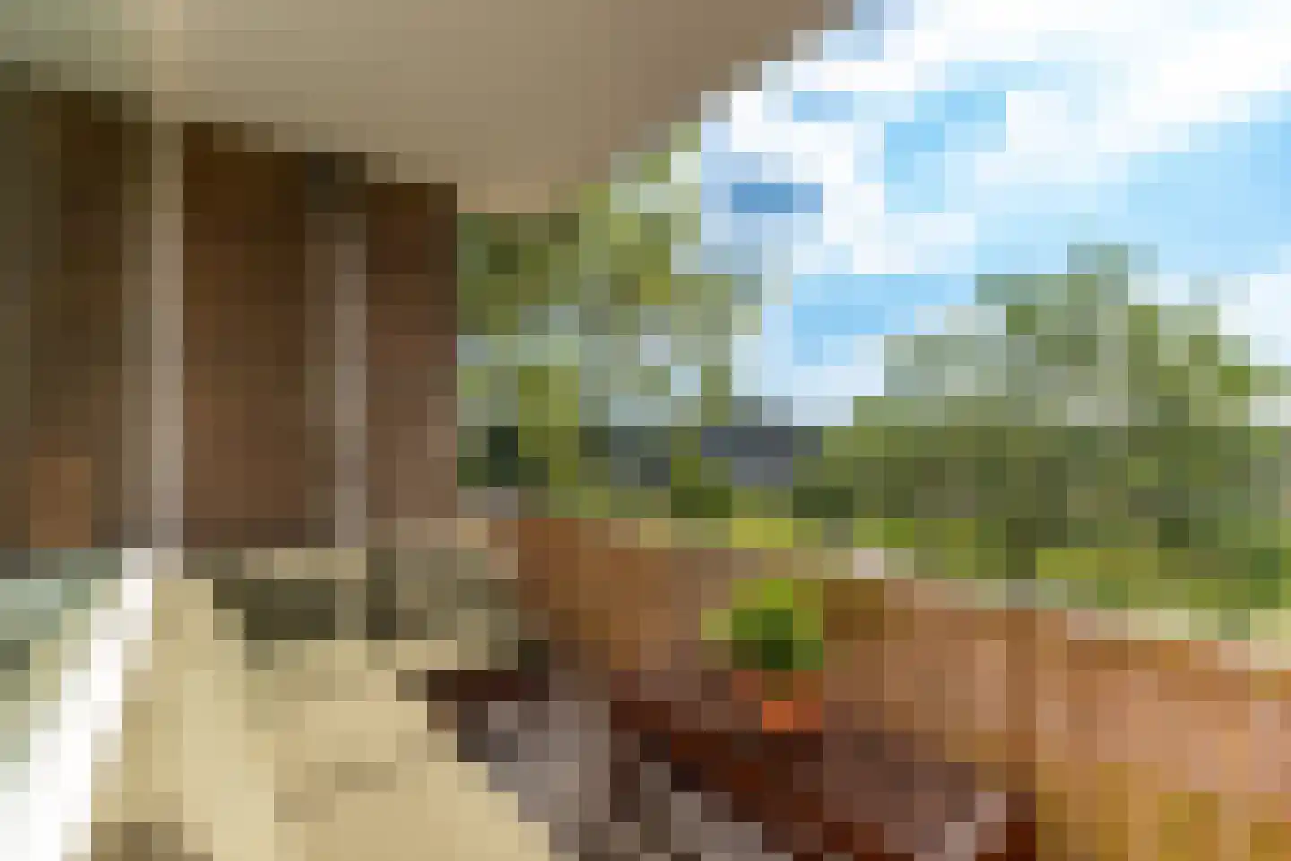 Geert Grootelaan 3 Hilversum thumbnail 8