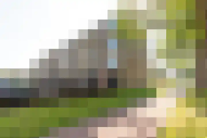 Geert Grootelaan 35 Hilversum thumbnail 21