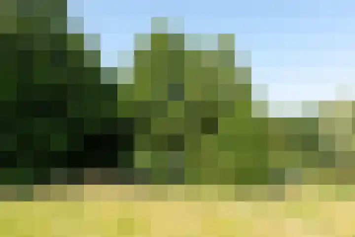 Geert Grootelaan 35 Hilversum thumbnail 26