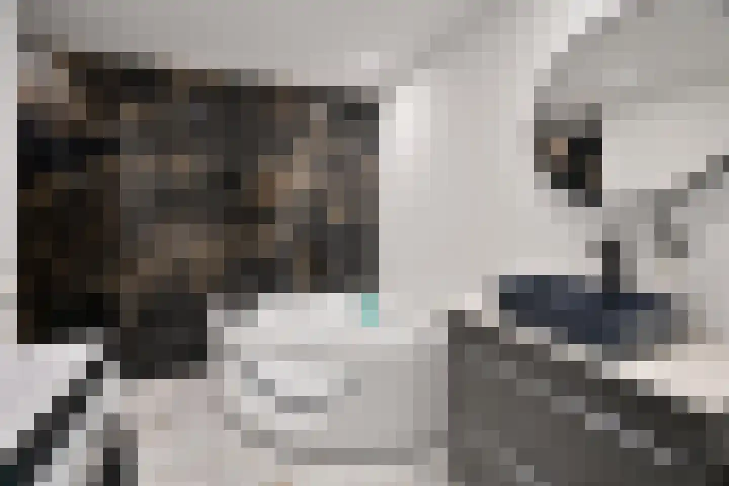 Geert Grootelaan 83 Hilversum thumbnail 12