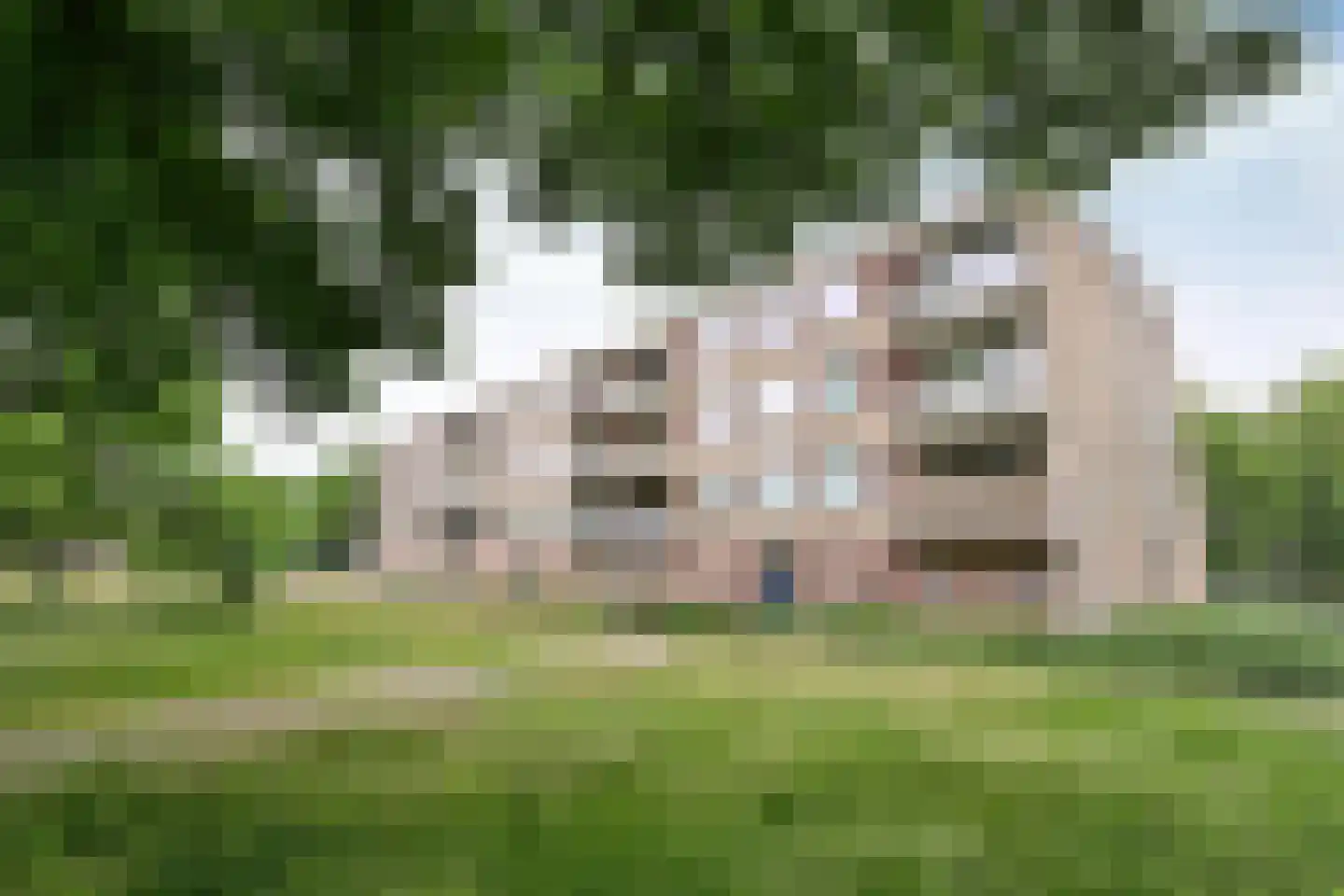 Geert Grootelaan 83 Hilversum thumbnail 17
