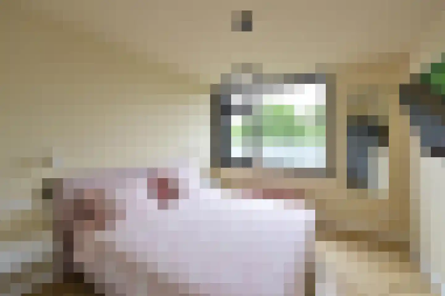 Geert Grootelaan 83 Hilversum thumbnail 9
