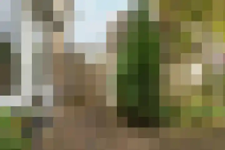 Geert Grootestraat 14 Amsterdam thumbnail 26