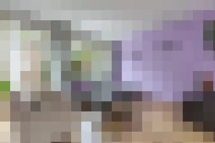 Geert Grootestraat 14 Amsterdam thumbnail 6