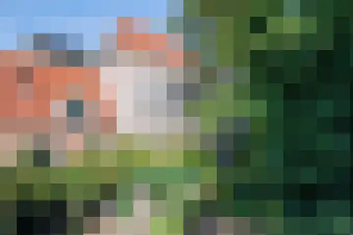 Geert Grootestraat 16 A Deventer thumbnail 18
