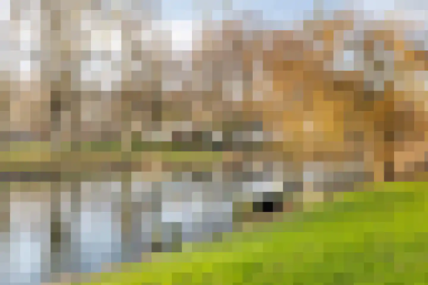 Geert Grootestraat 25 Amsterdam thumbnail 33