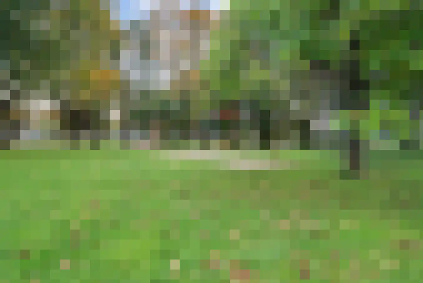 Geert Grootestraat 26 's-Hertogenbosch thumbnail 34
