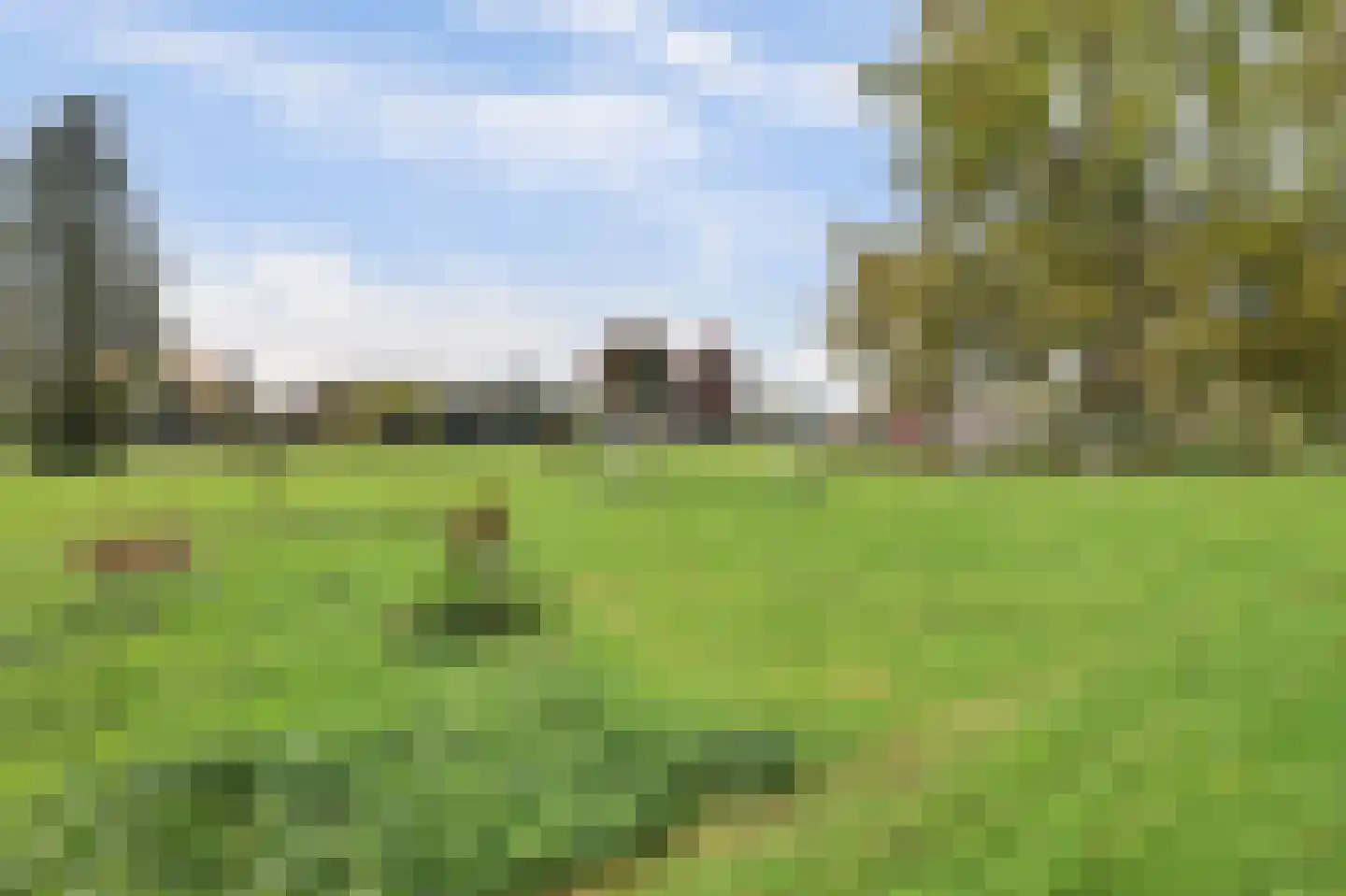 Geert Grootestraat 26 's-Hertogenbosch thumbnail 36