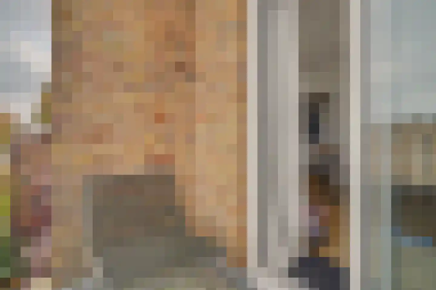 Geert Grootestraat 26 's-Hertogenbosch thumbnail 9