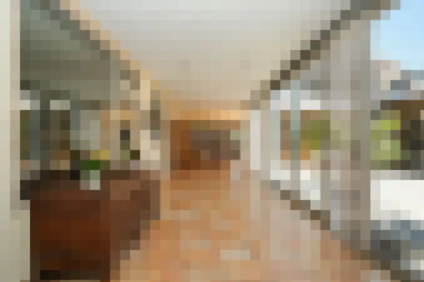 Geert Grootestraat 27 A Eindhoven thumbnail 20