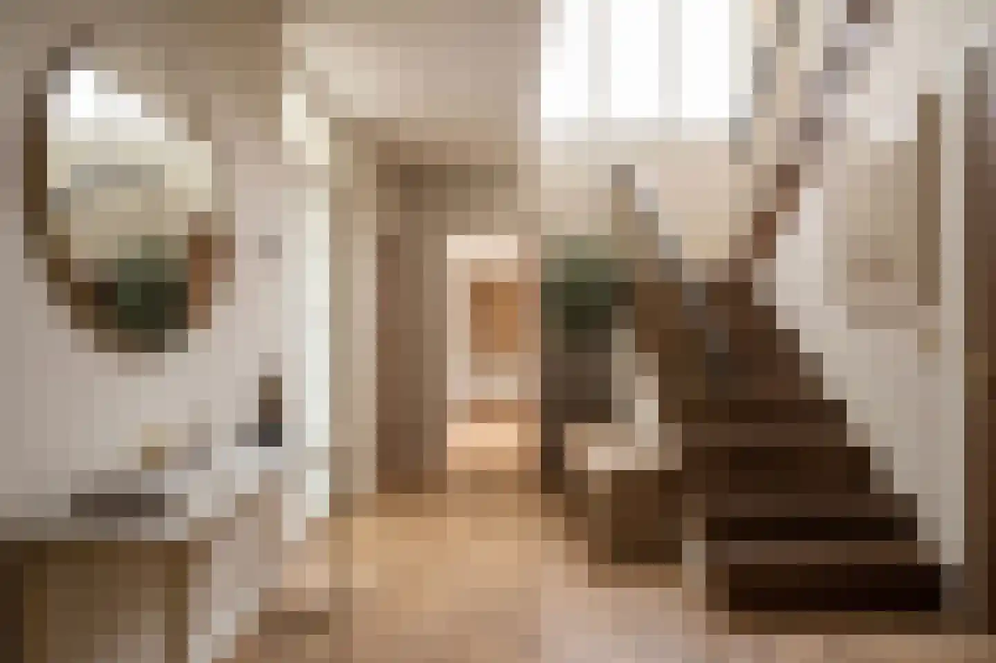 Geert Grootestraat 27 A Eindhoven thumbnail 30