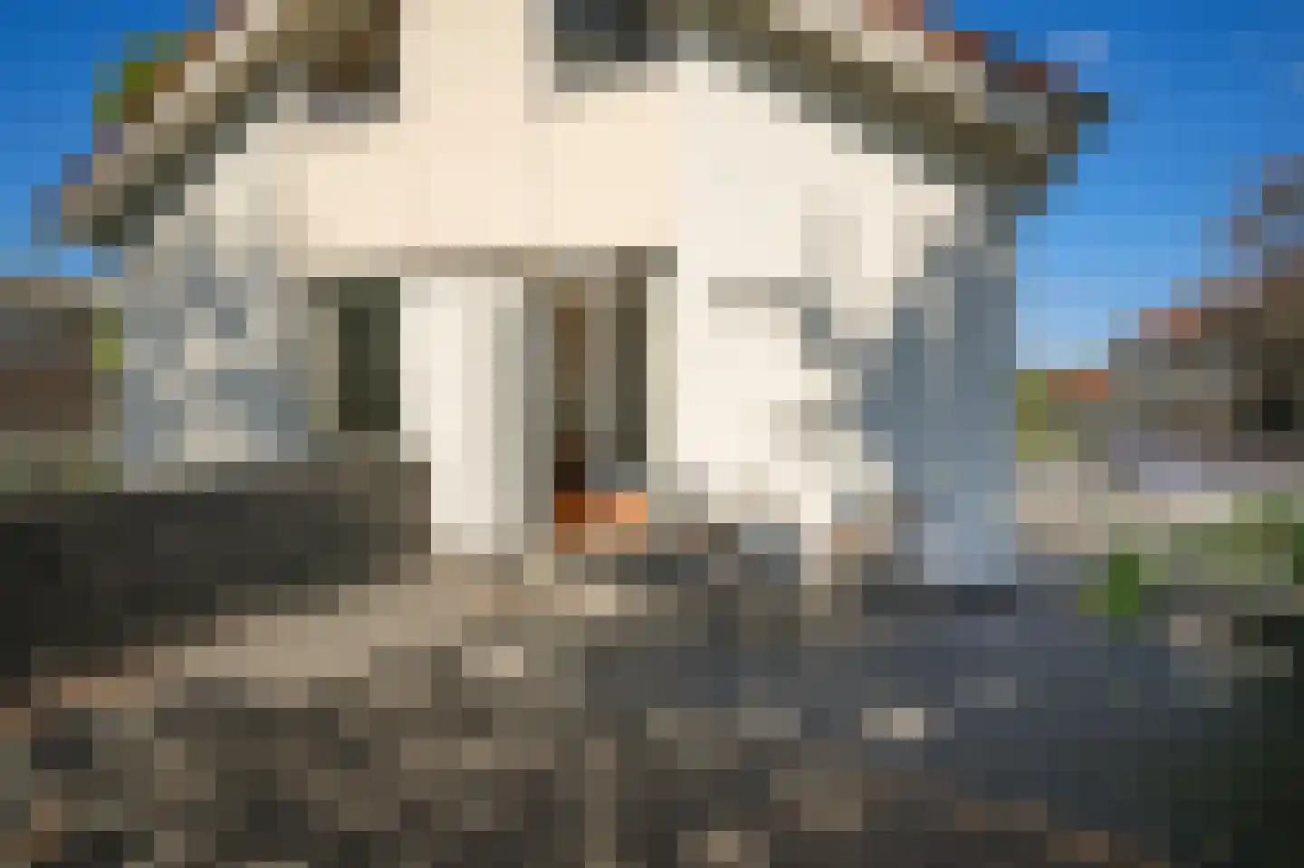 Geert Grootestraat 27 A Eindhoven thumbnail 47