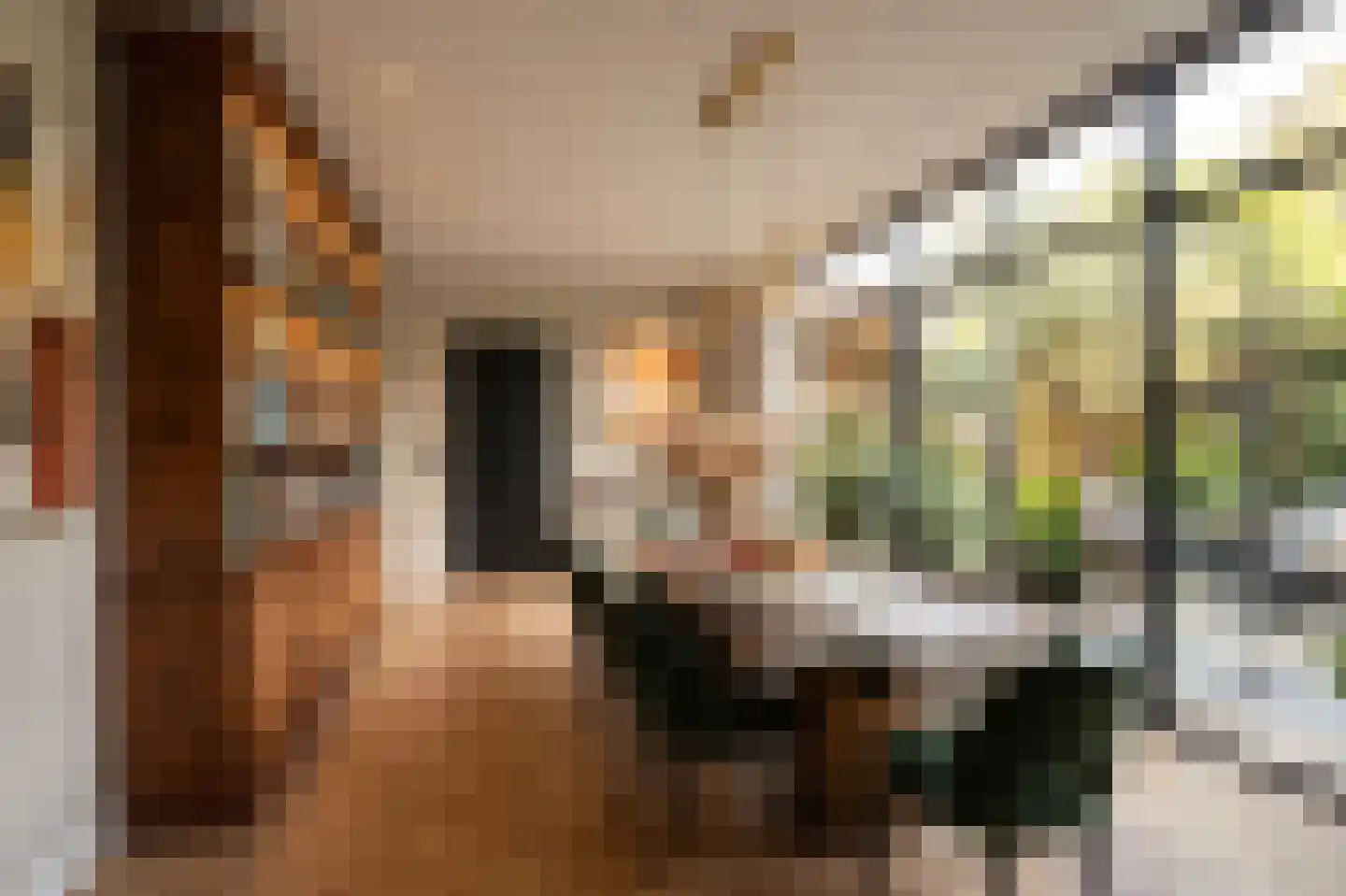 Geert Grootestraat 27 A Eindhoven thumbnail 6