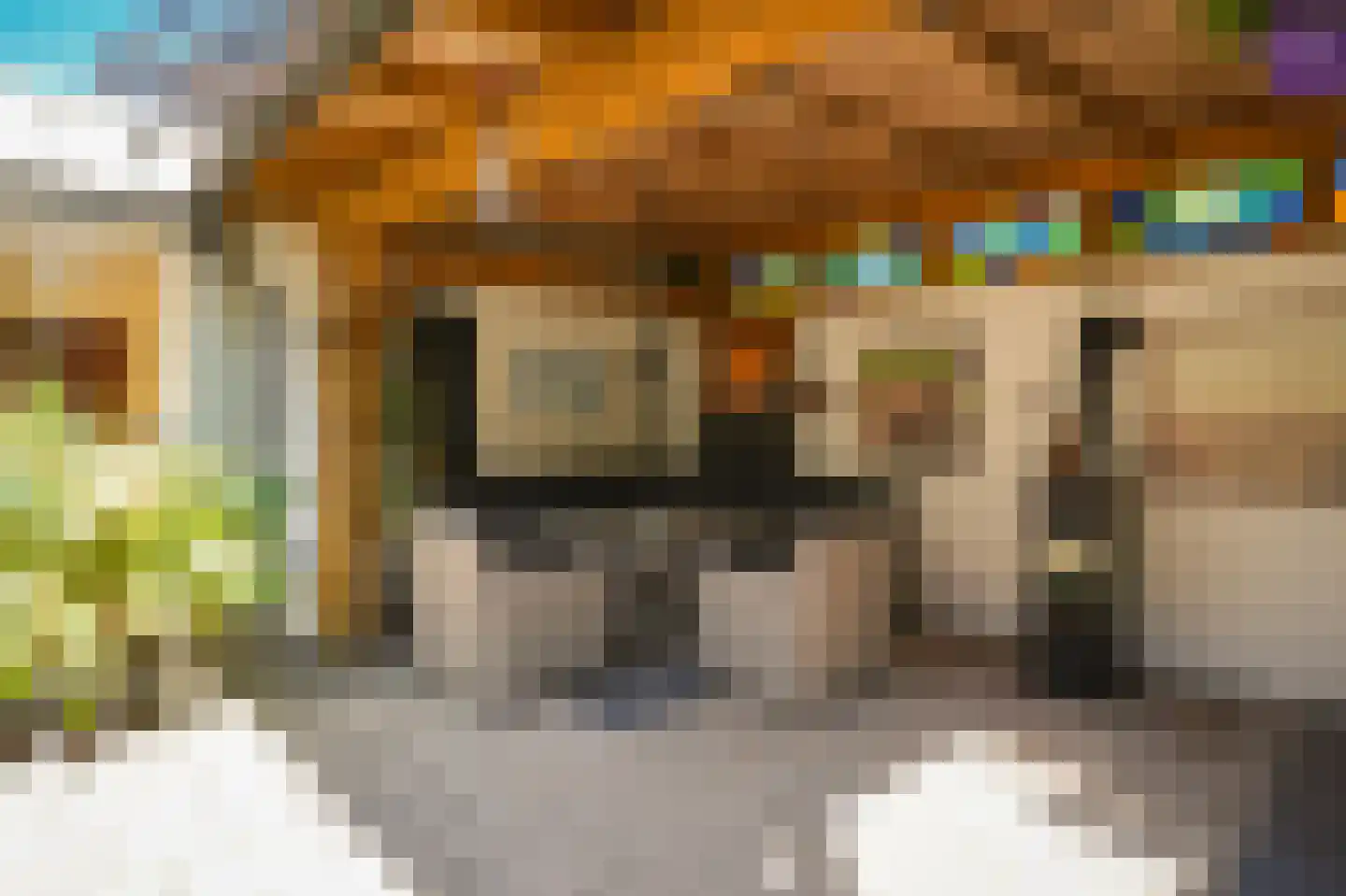 Geert Grootestraat 27 A Eindhoven thumbnail 68