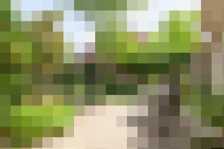 Geert Grootestraat 27 's-Hertogenbosch thumbnail 33