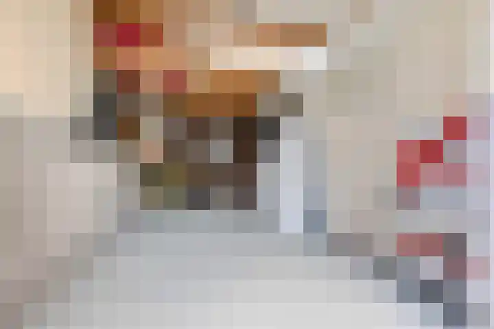 Geert Grootestraat 27 's-Hertogenbosch thumbnail 41