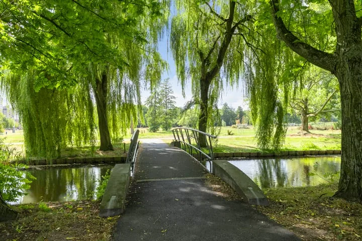 Geert Grootestraat 27 's-Hertogenbosch thumbnail 47
