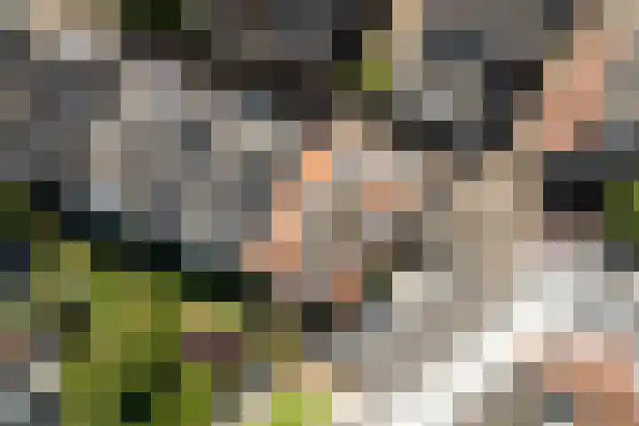 Geert Grootestraat 3 B Deventer thumbnail 22