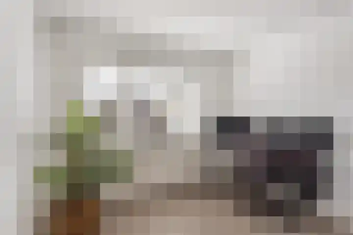 Geert Grootestraat 4 Albergen thumbnail 16