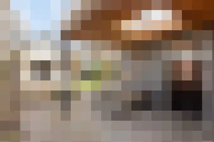 Geert Grootestraat 4 Albergen thumbnail 18