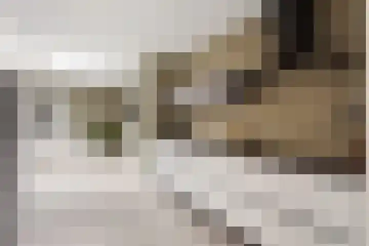 Geert Grootestraat 4 Albergen thumbnail 9