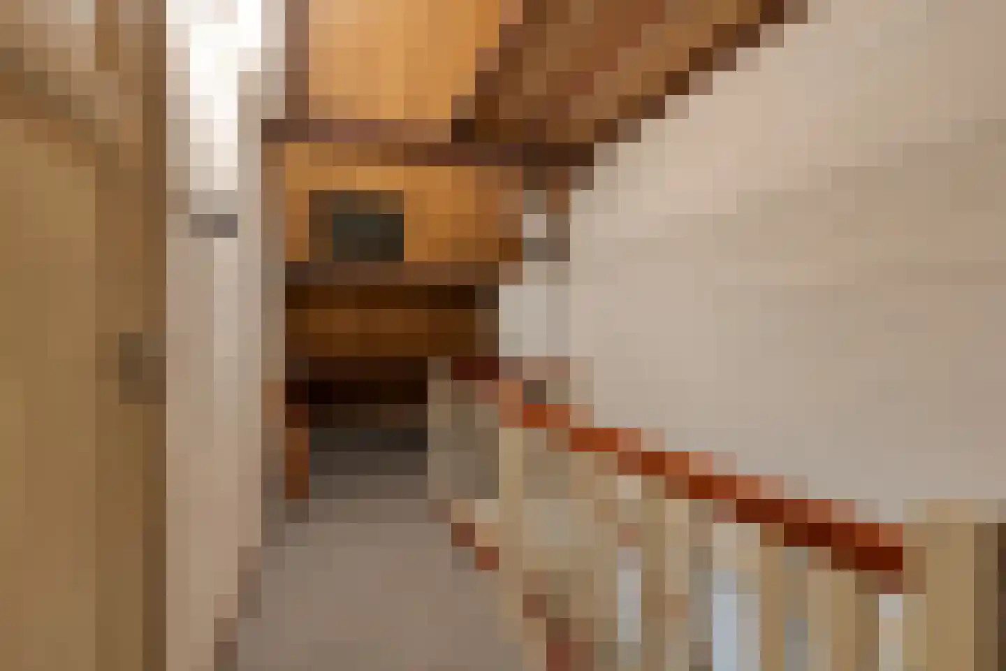 Geert Grootestraat 41 Eindhoven thumbnail 27