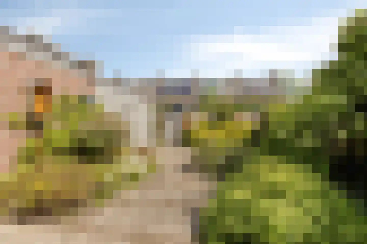 Geert Grootestraat 41 Eindhoven thumbnail 30