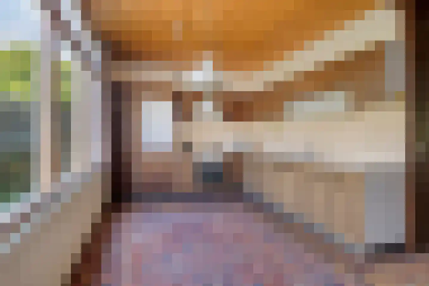 Geert Grootestraat 41 Eindhoven thumbnail 4