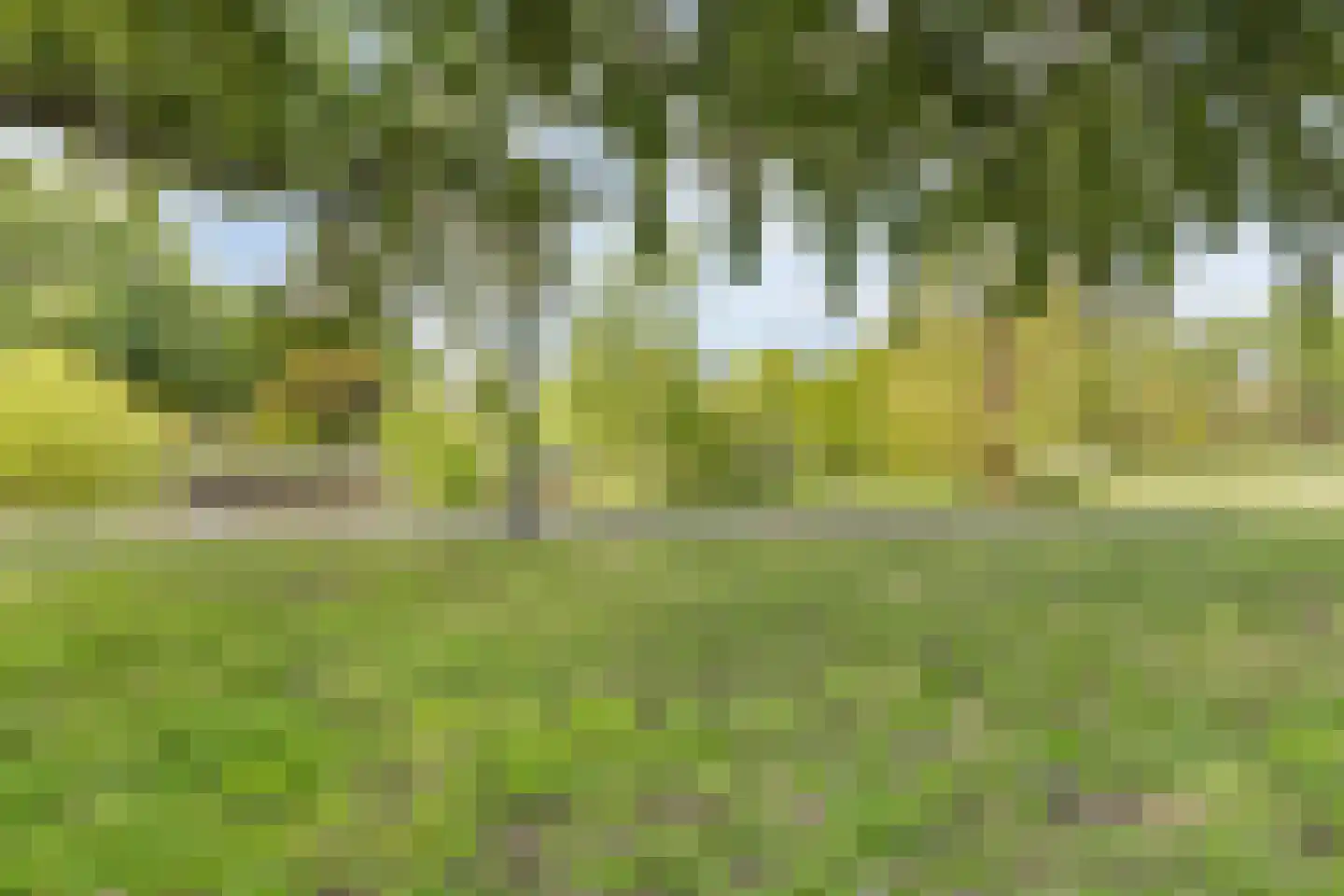 Geert Grootestraat 41 Eindhoven thumbnail 40
