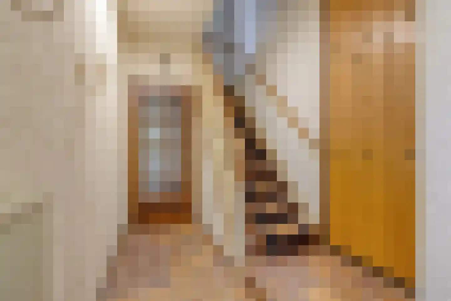 Geert Grootestraat 41 Eindhoven thumbnail 6