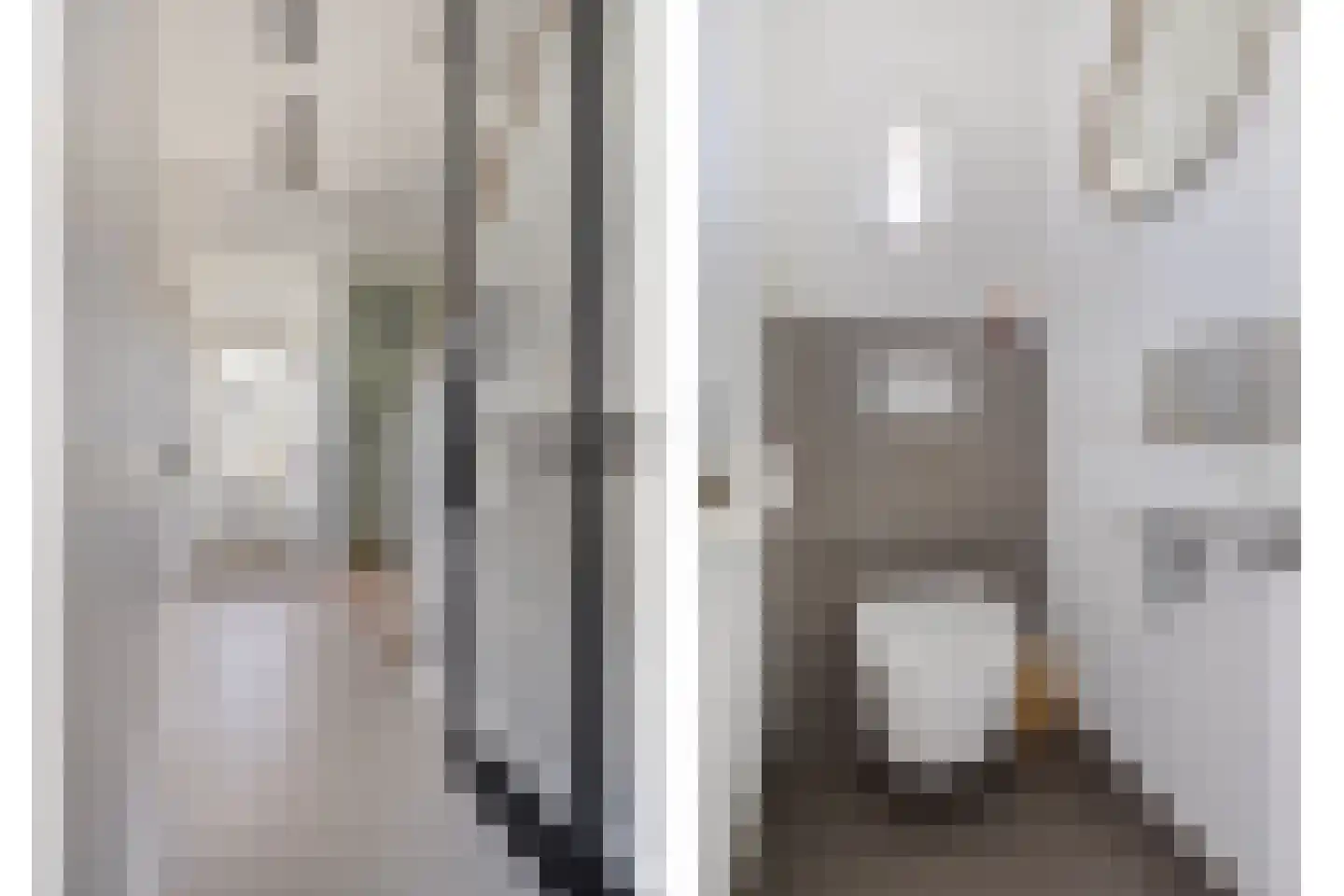 Geert Grootestraat 49 Eindhoven thumbnail 5