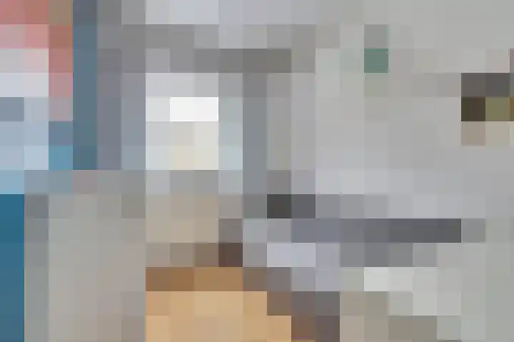 Geert Grootestraat 51 Doetinchem thumbnail 33