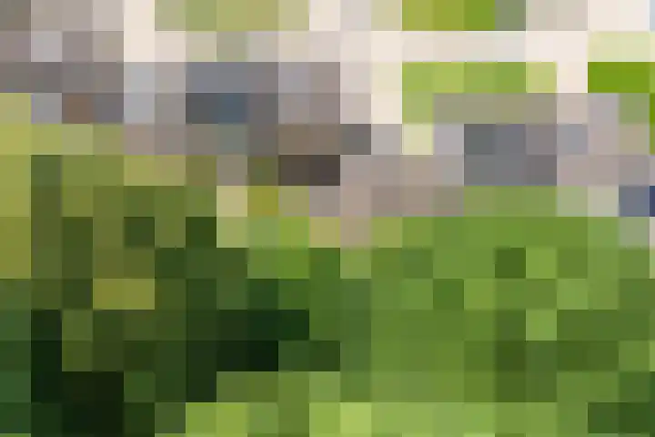 Geert Grootestraat 64 Doetinchem thumbnail 44