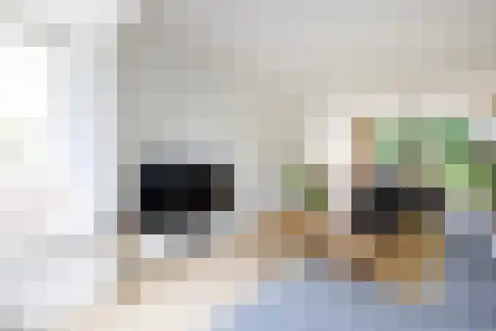 Geert Grootestraat 64 Doetinchem thumbnail 6