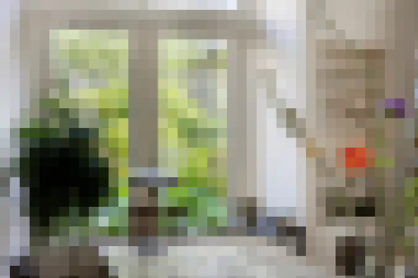 Geert Grootestraat 7 Deventer thumbnail 16